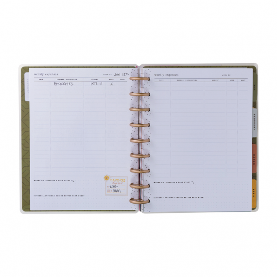 Sage & Terra-cotta - Classic Undated Budget Happy Planner - 12 Months